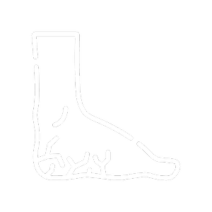 Inicio 9 Podología geriátrica